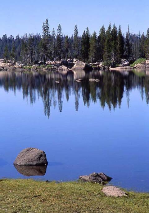Cedar Oasis - Home Base To Big Trees أرنولد المظهر الخارجي الصورة