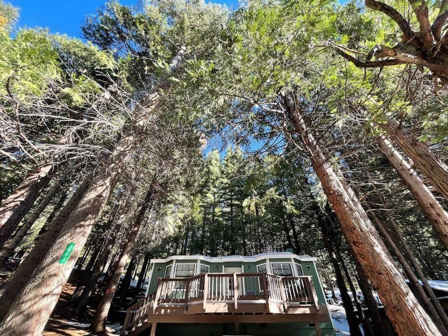 Cedar Oasis - Home Base To Big Trees أرنولد المظهر الخارجي الصورة