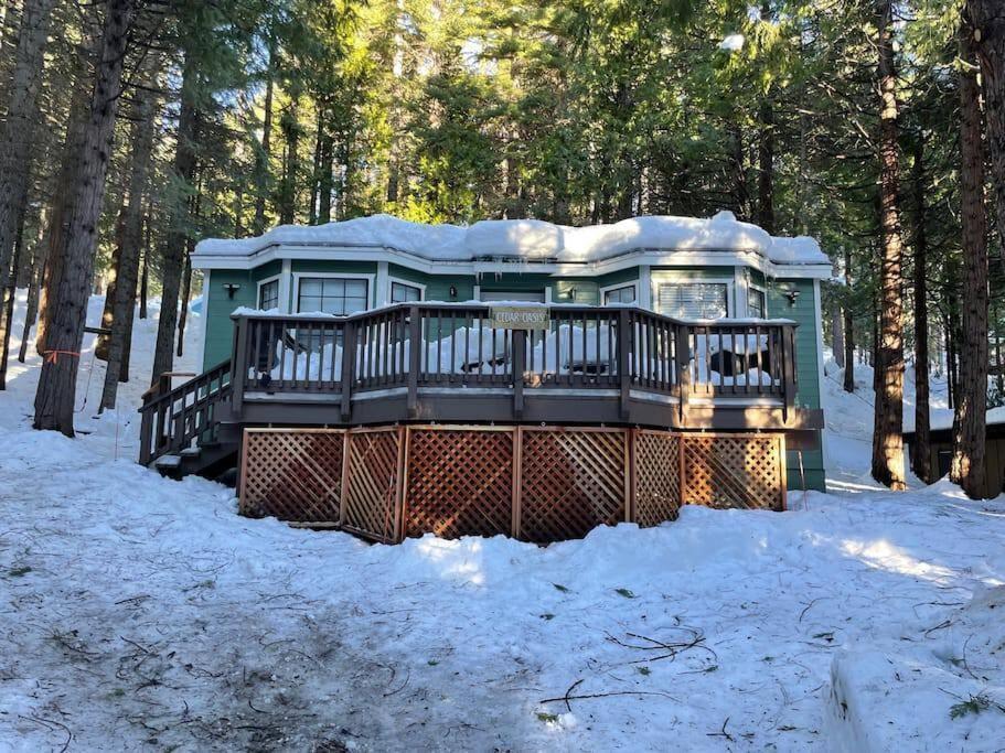 Cedar Oasis - Home Base To Big Trees أرنولد المظهر الخارجي الصورة